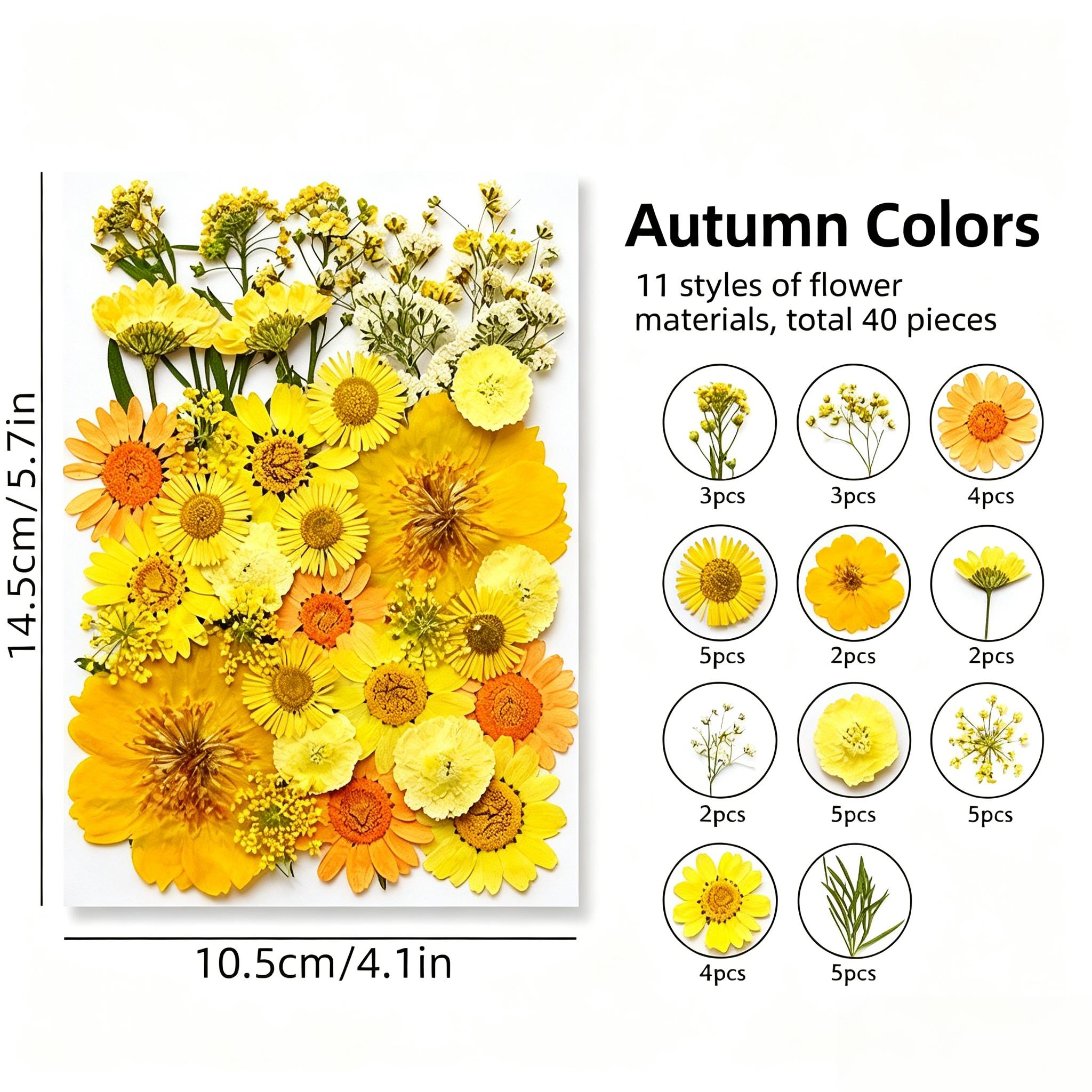 40 ชิ้น/ถุง, สีเหลือง