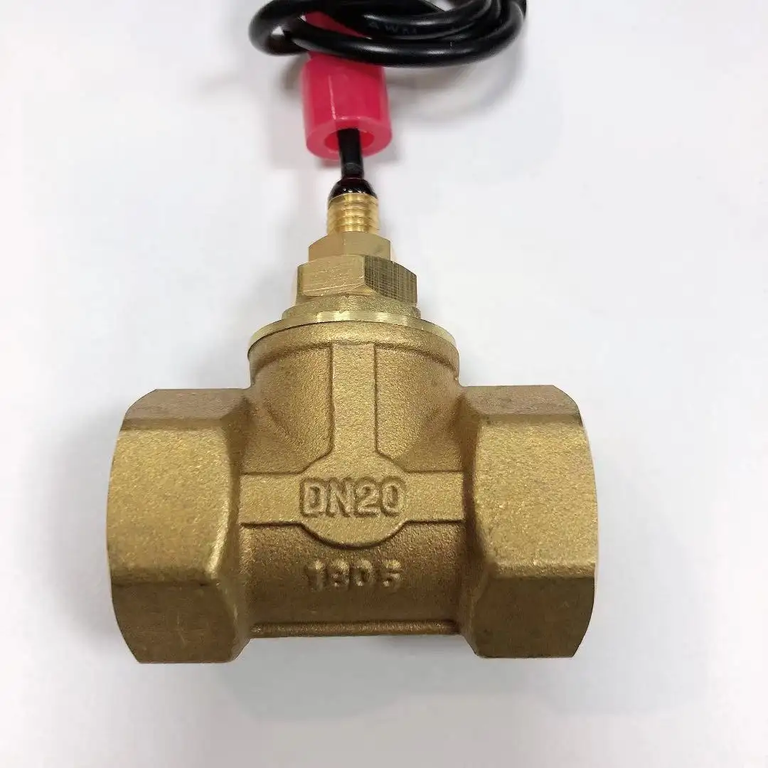 Tubo de interruptor de fluxo térmico de água 1/2" tamanho grande DN20 Pistão Fluxo de água com controlador de fluxo de latão liga/desliga Fabricante