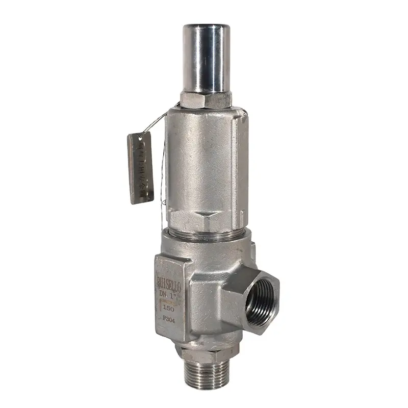 Válvula de seguridad de gas hidrógeno 1,4404, válvulas de sistema de filtración de agua Manual General de PTFE natural LPG