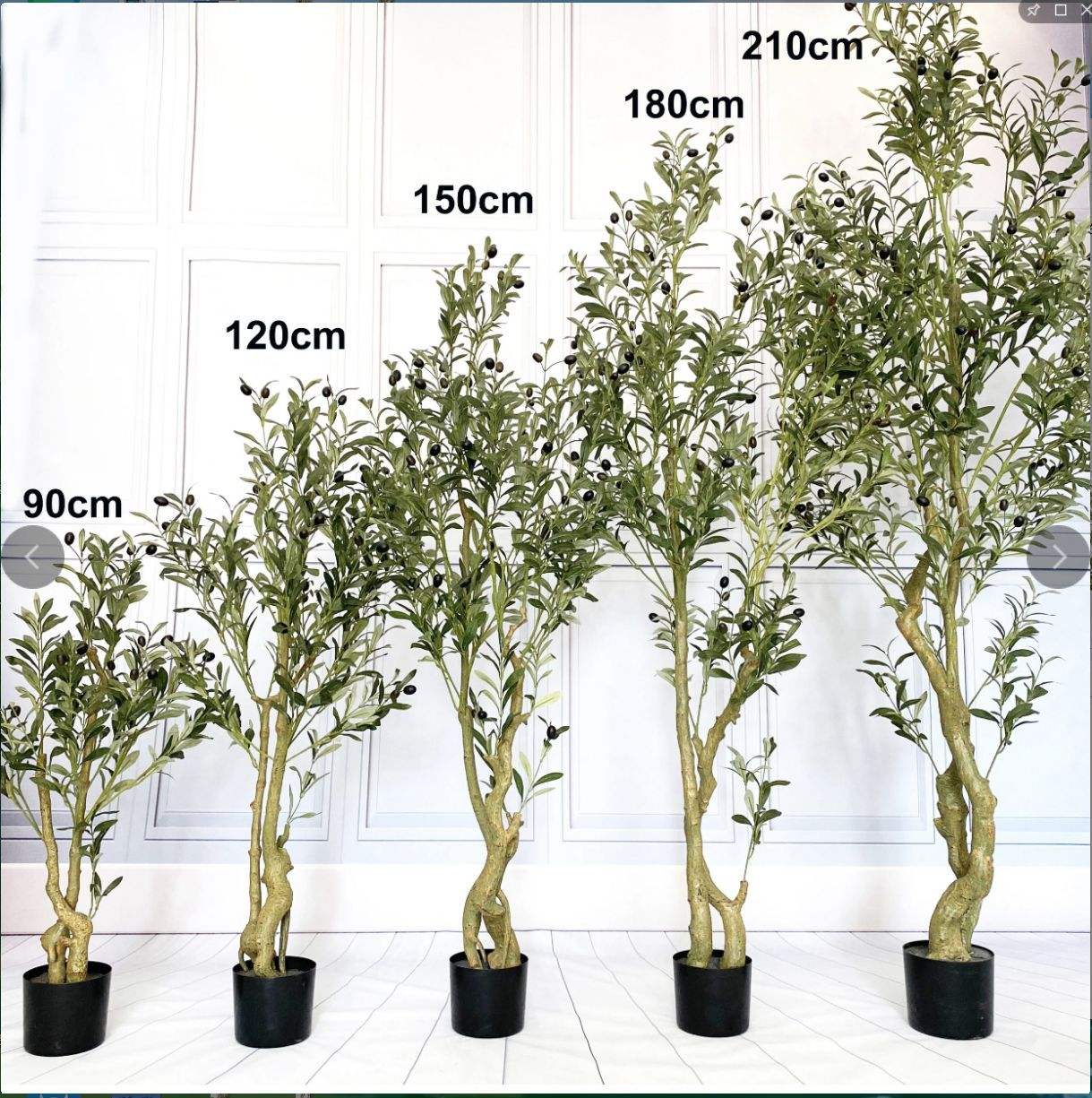 Tree-120cm d'olive double-stemmed/47.24in