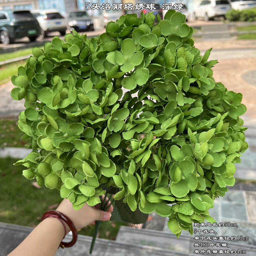5 têtes d'hortensia lolita vert foncé