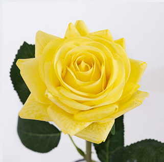Giallo