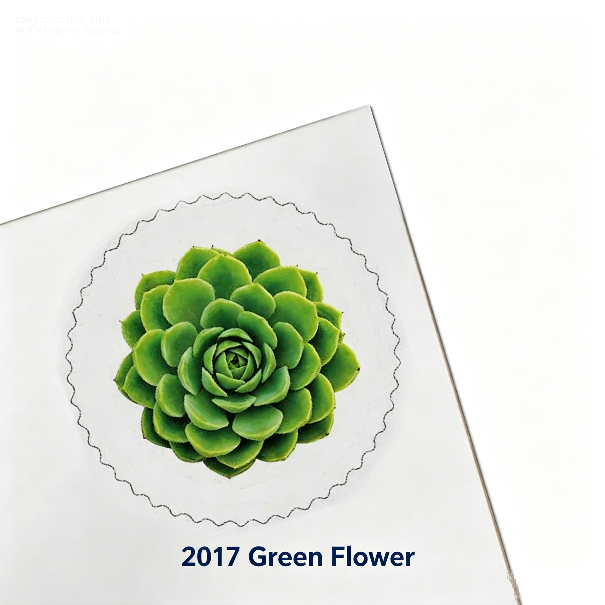 Green 2017 Green Floral500374-J2-93-17LH