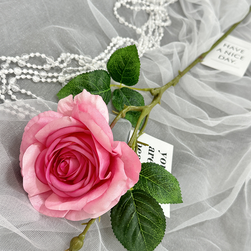 Rose pink