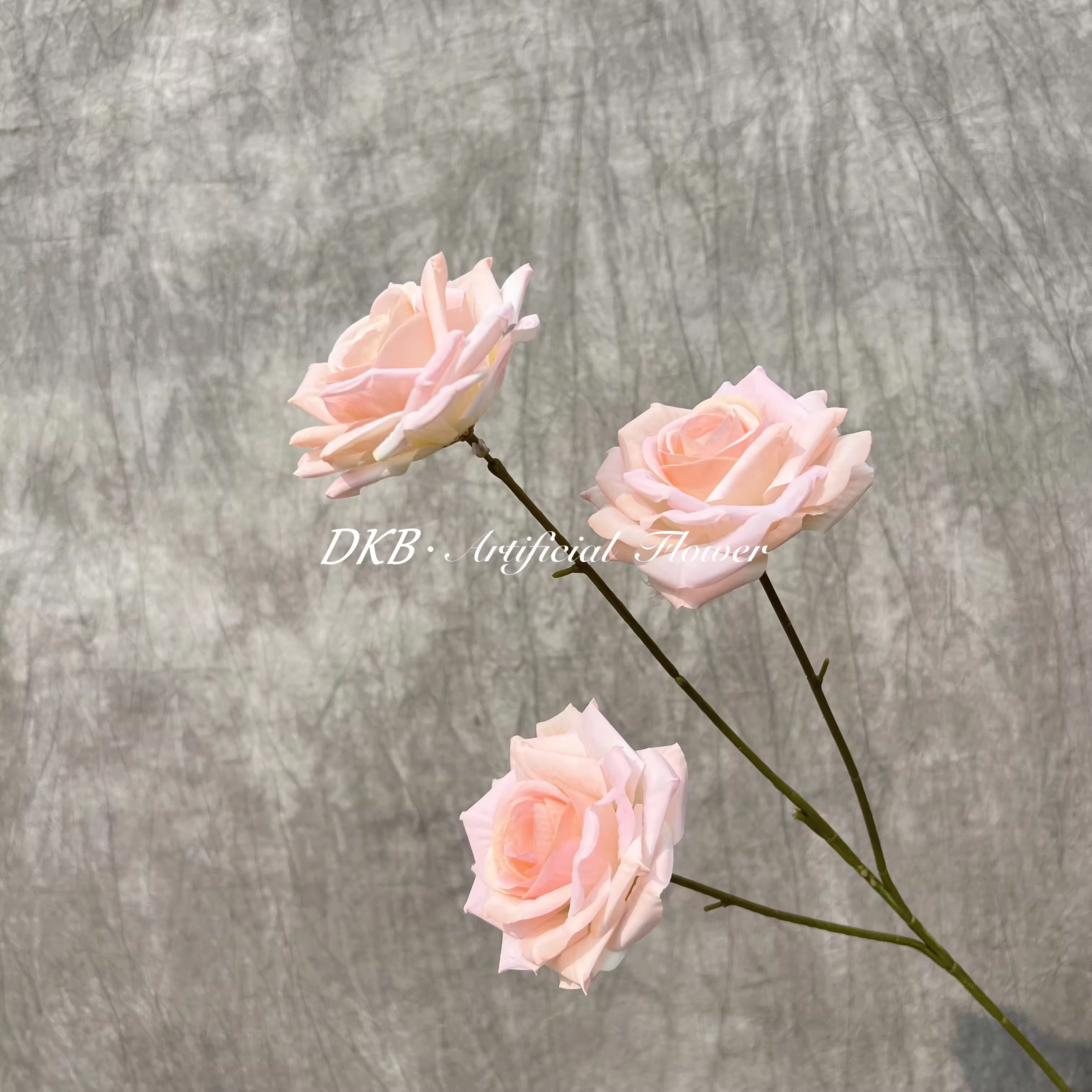 DZ003-3