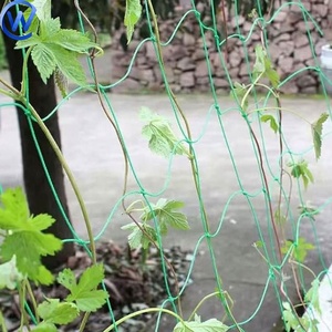 グリーン植物クライミングロープメッシュポリプロピレントレリスエンドウ豆ネットポリエステル植物ナイロントレリスネットガーデンネット - Product Image 6