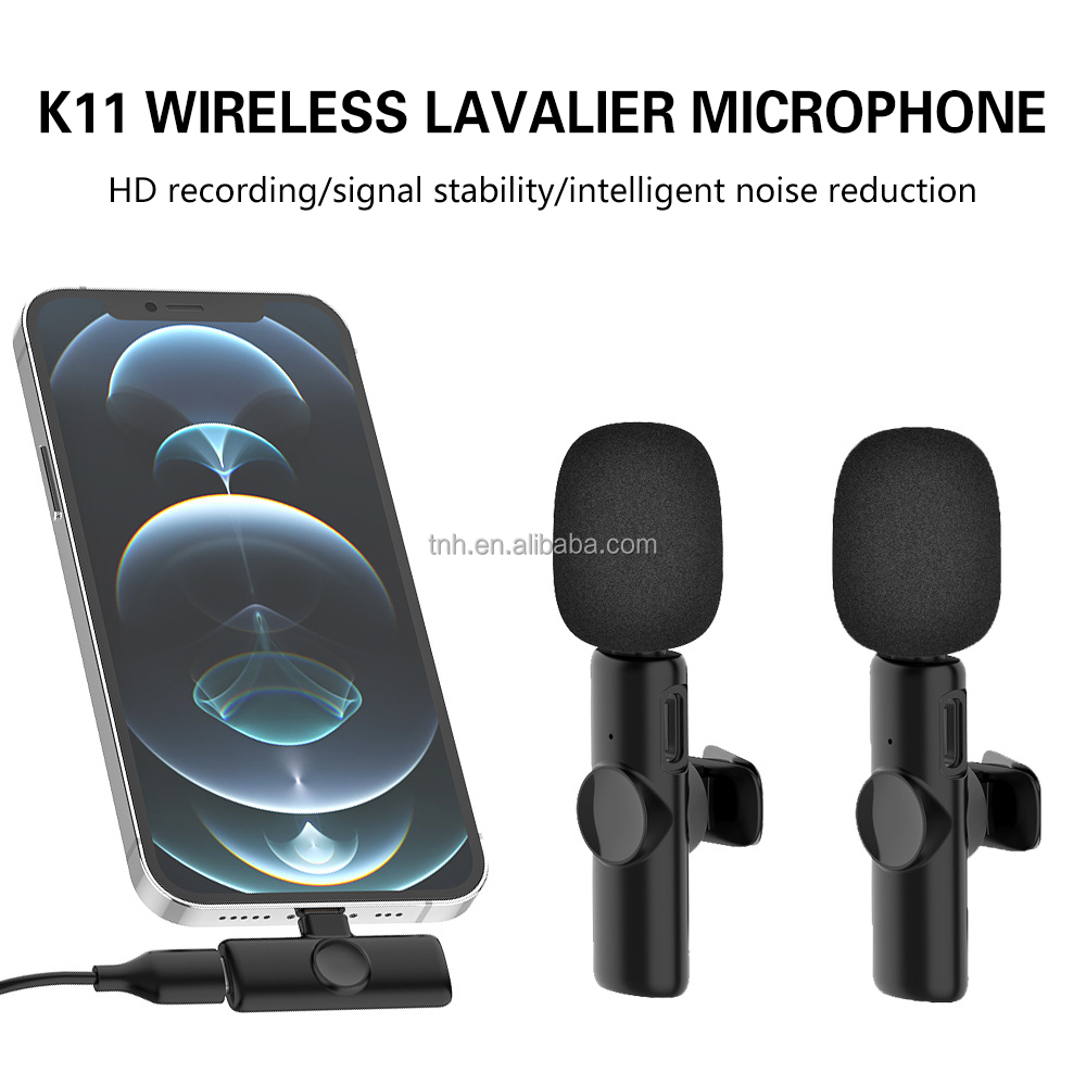 black 2 Mics For Type C