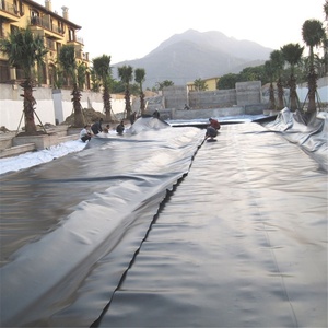 HDPE Anti-UV Fish100 % バージン1.5mmインドネシアの鉱山のためのHDPE Geomembrane - Product Image 5