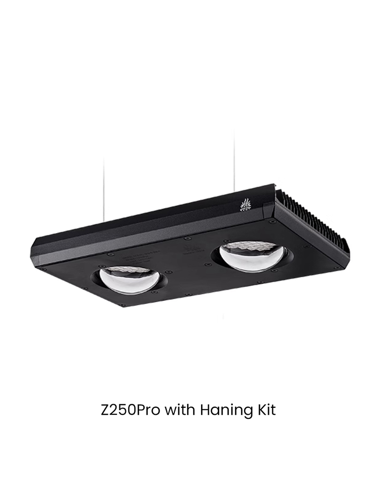 Z250 Sea con Kit de Colgante