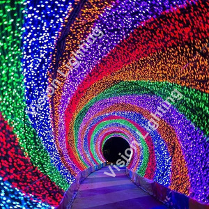 220V <strong>DMX</strong> 512 Programmable Christmas Decoration Outdoor Use IP65 High Quality <strong>Led</strong> <strong>String</strong> Light - Product Image 5