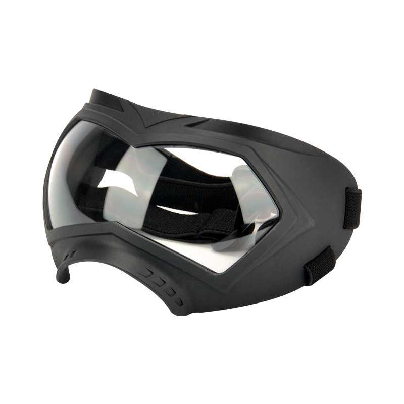 Black frame transparent lens