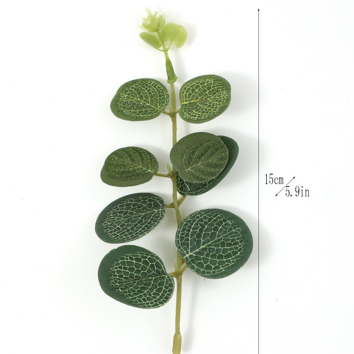 Feuille d'eucalyptus verte 15cm - tête vert argent