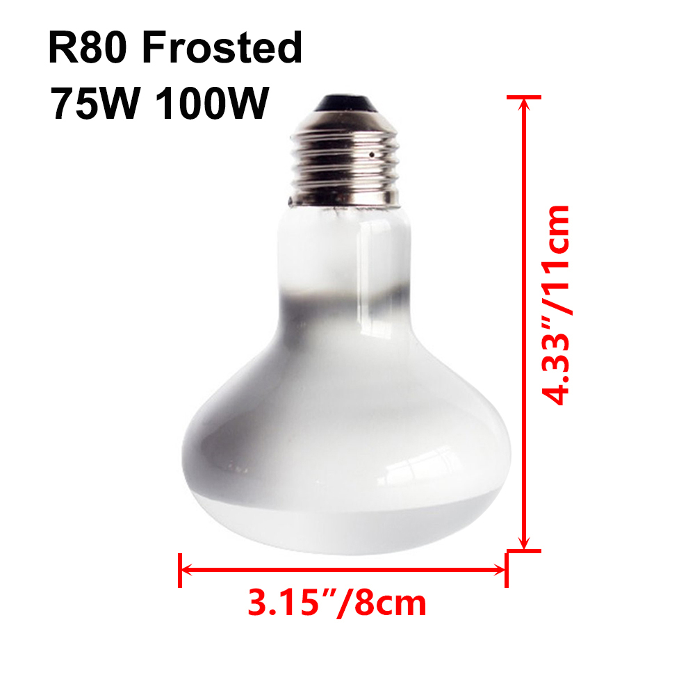 White Frosted R80 75W
