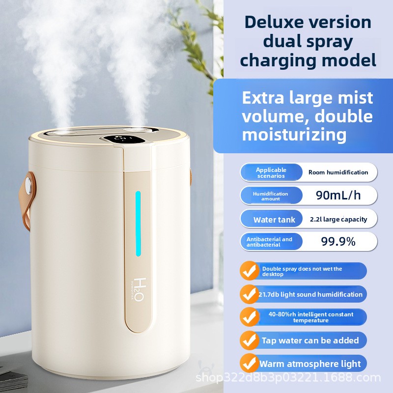 White-Dual spray humidifier rechargeable model