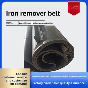 Courroie de dissolvant de fer à auto-déchargement fournie par le fabricant Courroie de grattoir électromagnétique à aimant permanent - Product Image 3