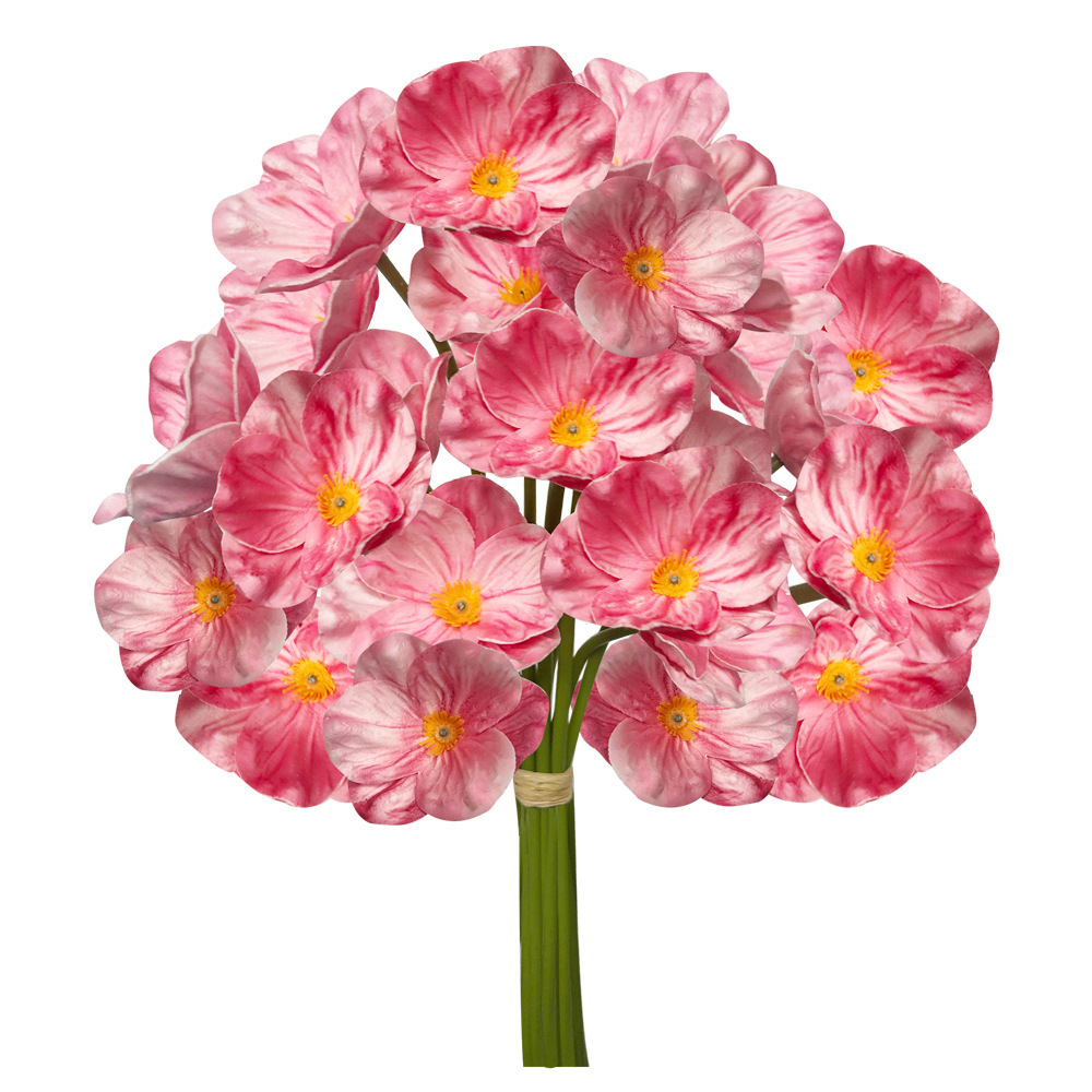 Coquelicot - Rose