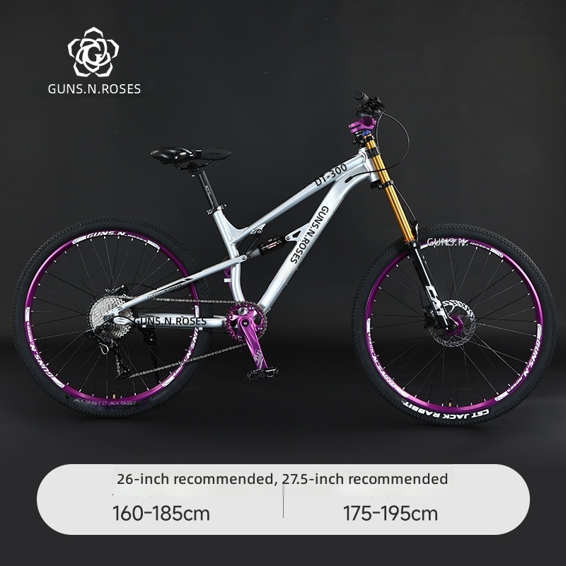 Silver-dual-shoulder air pressure-oil disc model-10 speed