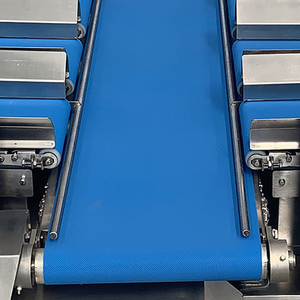 Precision Weight Combination <strong>Sorting</strong> <strong>Machine</strong> - Multi-station Belt <strong>Sorting</strong> System with Linear Combination Weigher - Product Image 4
