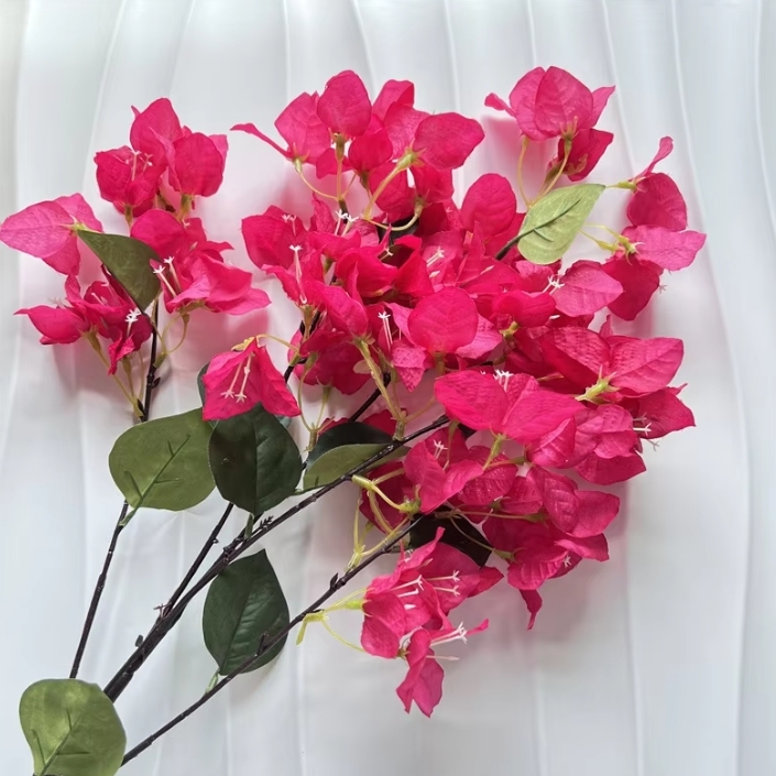 72 FLEURS