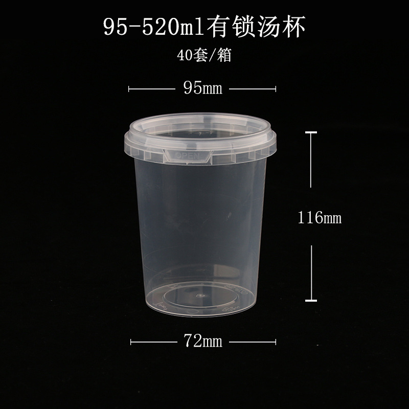 520 Lock Cup - Environ. 19oz