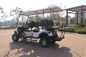 6 chỗ ngồi off-road điện tham quan Golf Buggy 48V thép Ride-on xe giỏ hàng để bán sân bay - Product Image 6