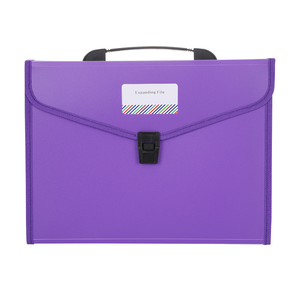 Carpeta de archivos plana de oficina a precio barato personalizado, bolsa de documentos de plástico, carpeta de archivos de acordeón expansible de 13 bolsillos con logotipo - Product Image 5