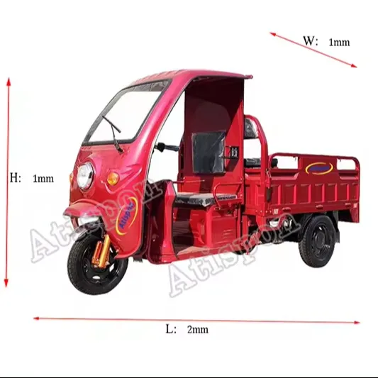 Factory Three Wheel Electric Scooter Electric Tricycle With Cargo Electric Cargo Buggy Motorcycle With Canopy