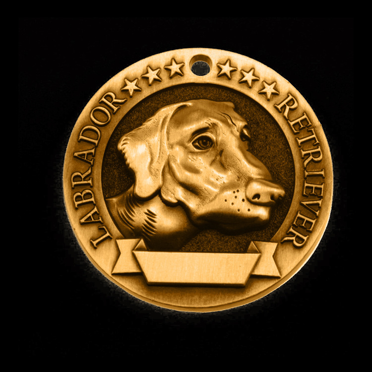 Labrador