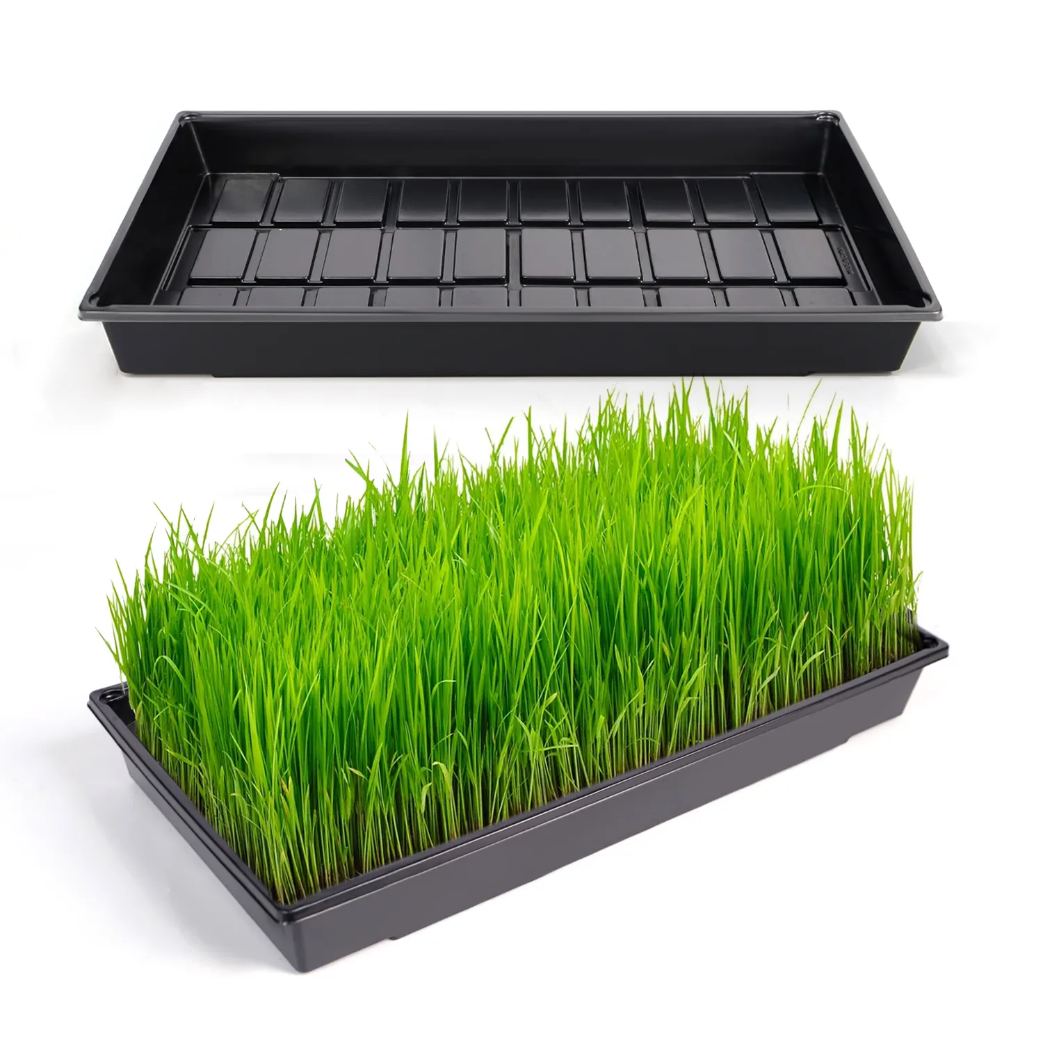 Plantation hydroponique 1020 Germination de graines plates Microgreens plateau de semis pour herbe de blé fourrage germes de riz légumes
