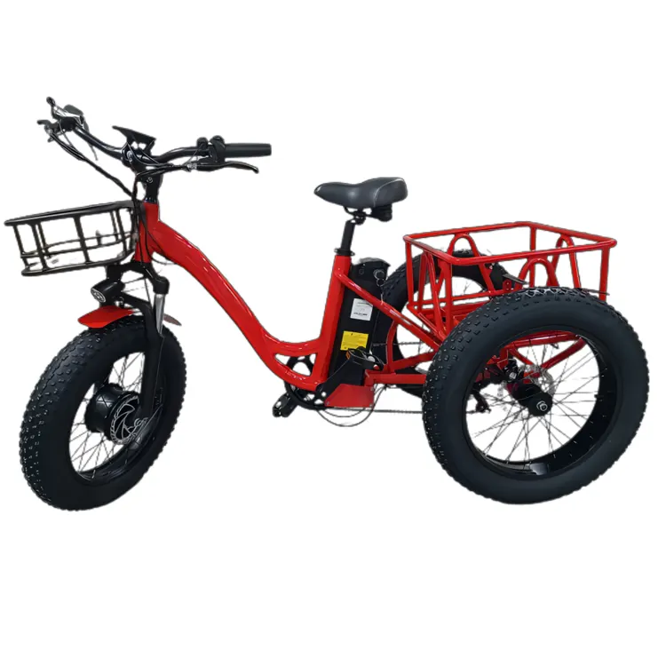Triciclos eléctricos de bicicleta de carga de 3 ruedas personalizados de 20 pulgadas 20Ah 750W para envío de mercancías
