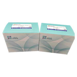 Bộ phân ly não, con người (10 thử nghiệm) phân ly mô cho nghiên cứu ISO 9001 ba3326 - Product Image 2