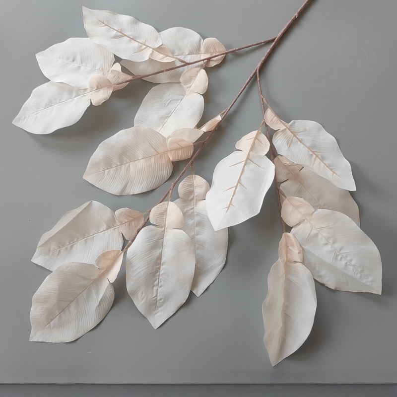 Feuilles de yuzu