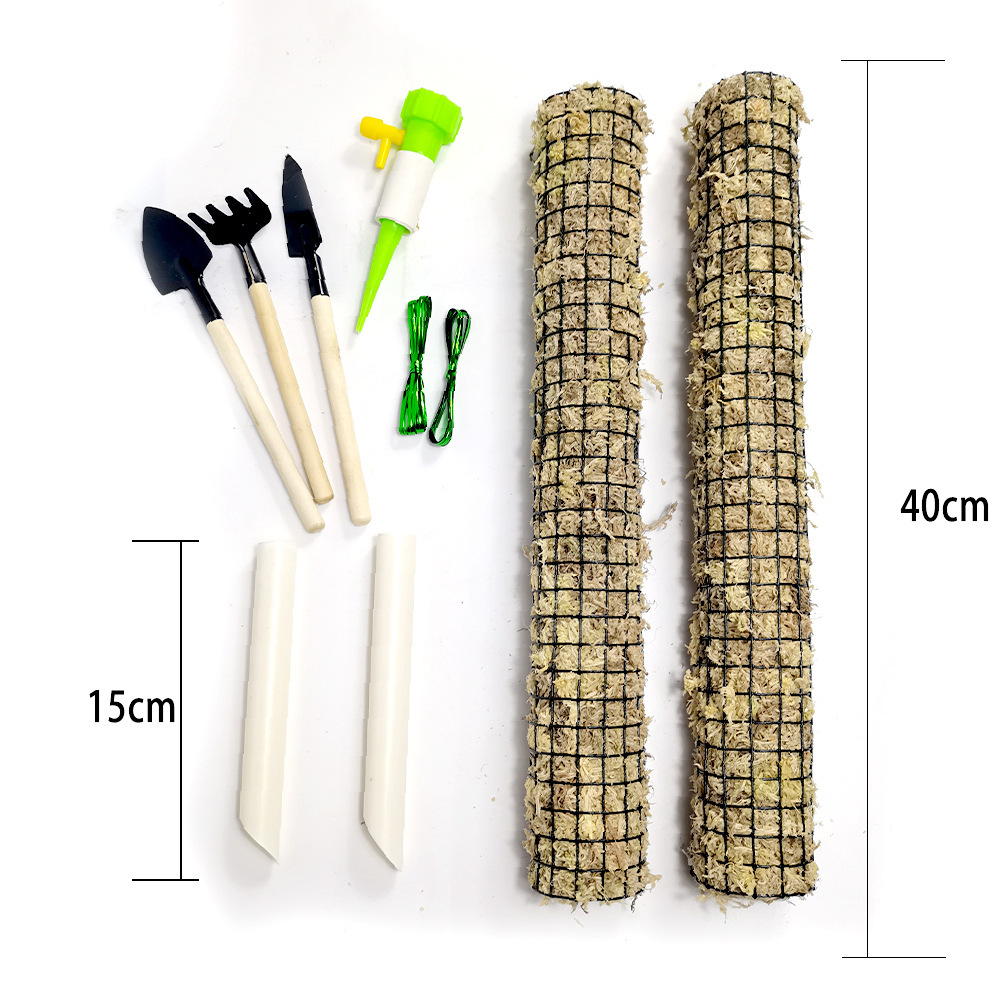 55cm Set