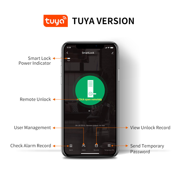 Economic Keyless Handle Fingerprint Door Lock with Wifi Tuya APP