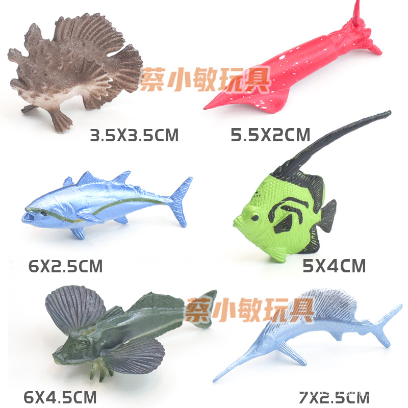 Ensembles Ocean B-6