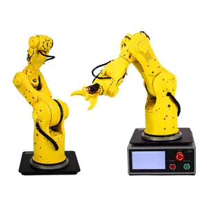 Industrial Robots for Painting