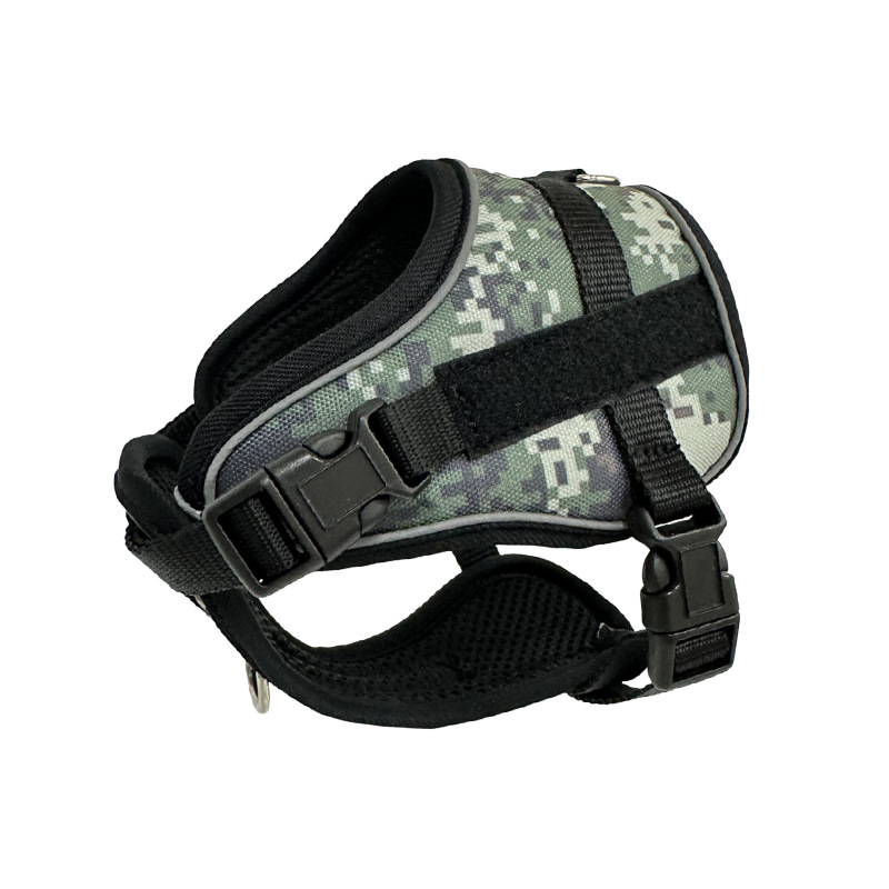 กองทัพสีเขียว