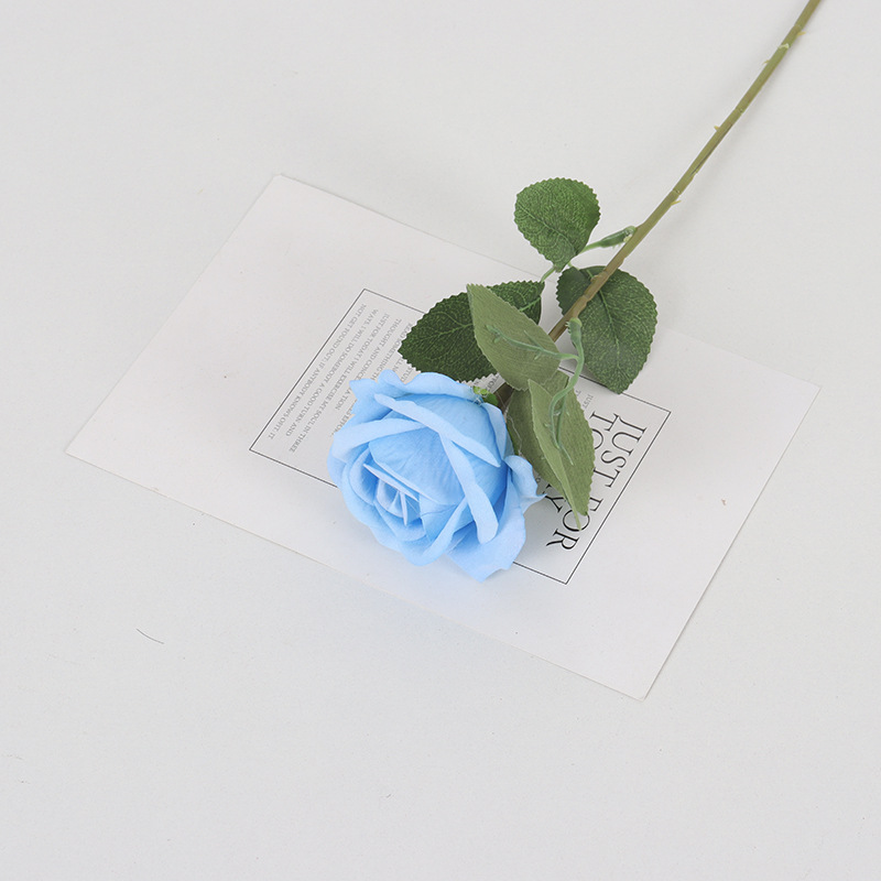 Bleu clair