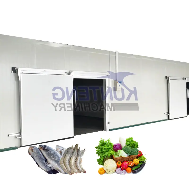 Gran cámara frigorífica modular para la venta de frutas, verduras, carne, almacén de almacenamiento en frío, congelador, proveedor de paneles de pared aislados