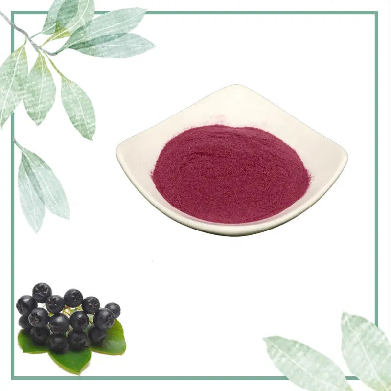 Liefern Sie 100% reines natürliches Aronia Berry Extract Pulver 5%-25% Antho cyanidine