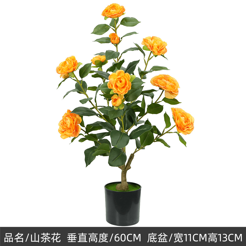 60cm camélia, orange