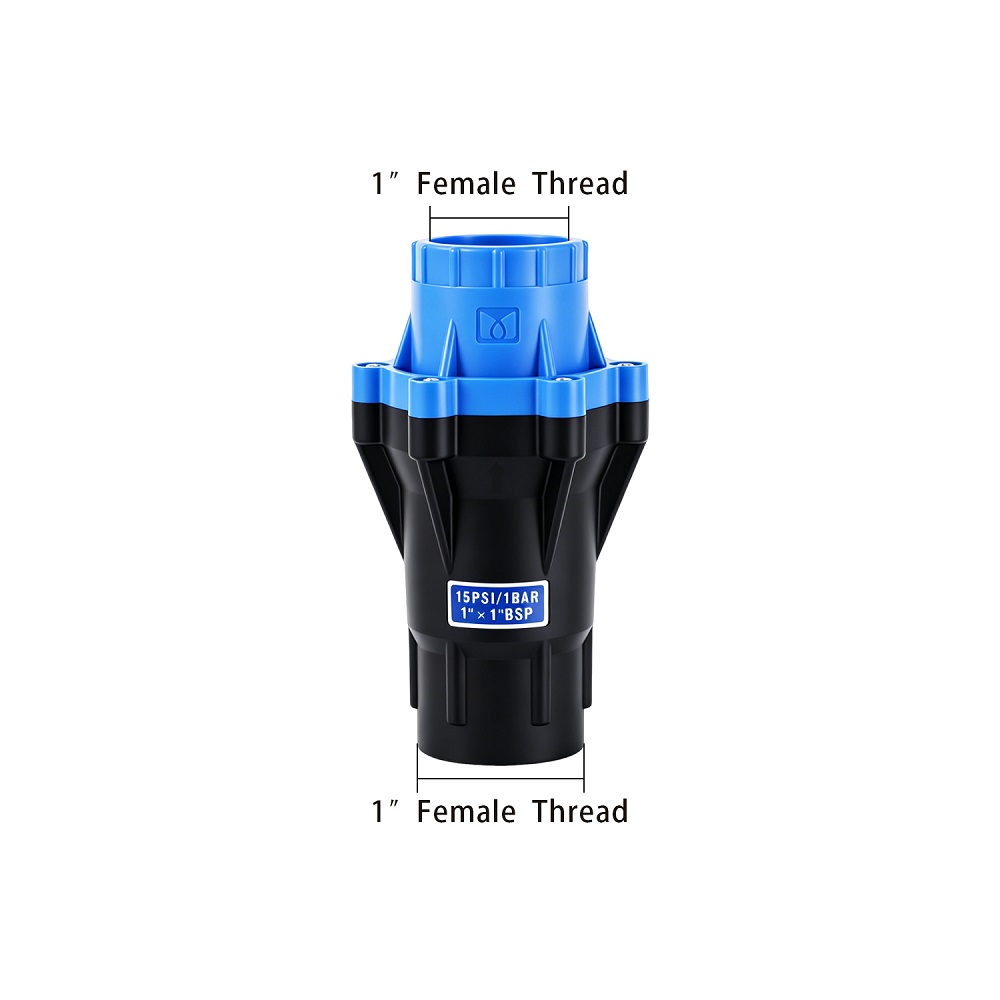 Filetage BSP 1" - 15 PSI