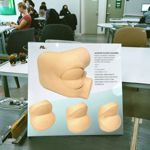 Advanced Digital PVC Training Model for Prostate Examination Rectal <strong>Palpation</strong> Simulation of DRE in Medical School Diagnosis - Product Image 6