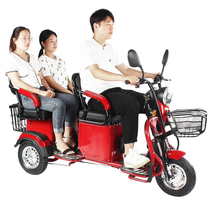 Tricycle motorisé pour adultes, moto électrique à 3 roues, 10 pouces, 800W, cargo