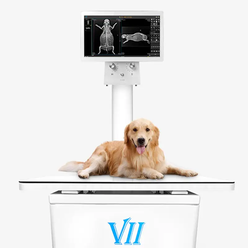 AI x ray tüp ve yüksek kaliteli dinamik düz panel dedektör ile vet için Vetoo marka X ray makinesi
