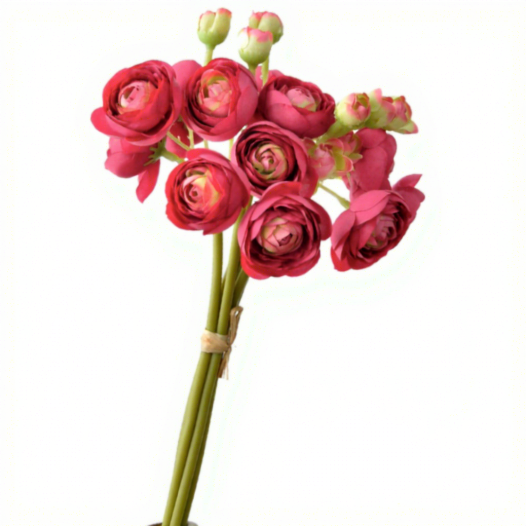 rose vif