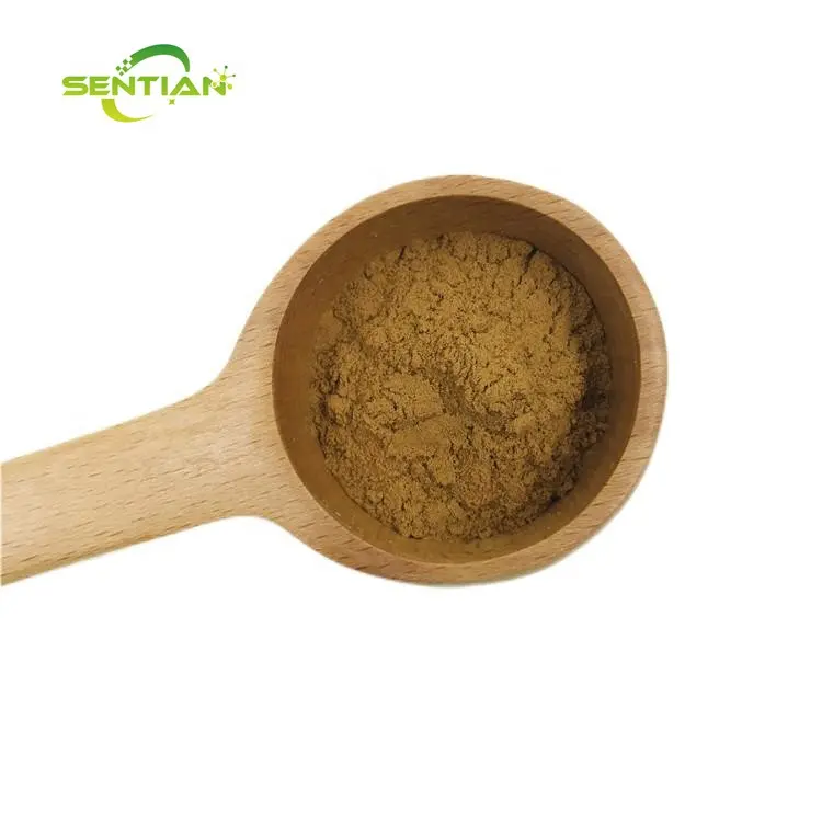 stinging nettle root extract powder supplement Nettle Extract 10:1 stinging nettle root extract