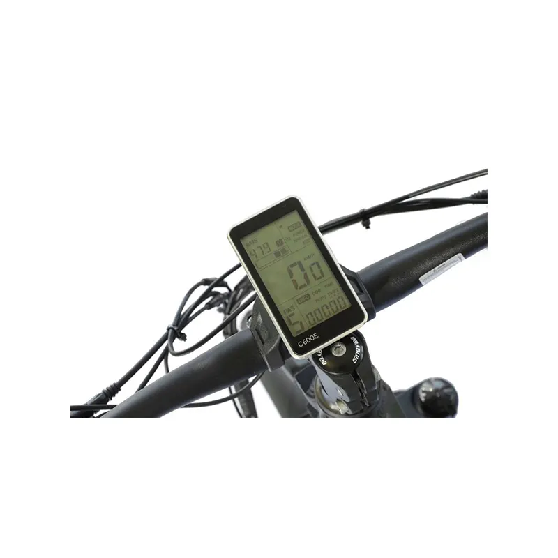 Xe Đạp Leo Núi Điện 250W Động Cơ Người Đàn Ông Của Xe Đạp Thành Phố Đi Xe Đạp Bicicleta 4.0 Chất Béo Lốp Bánh Xe Lớn Ebike