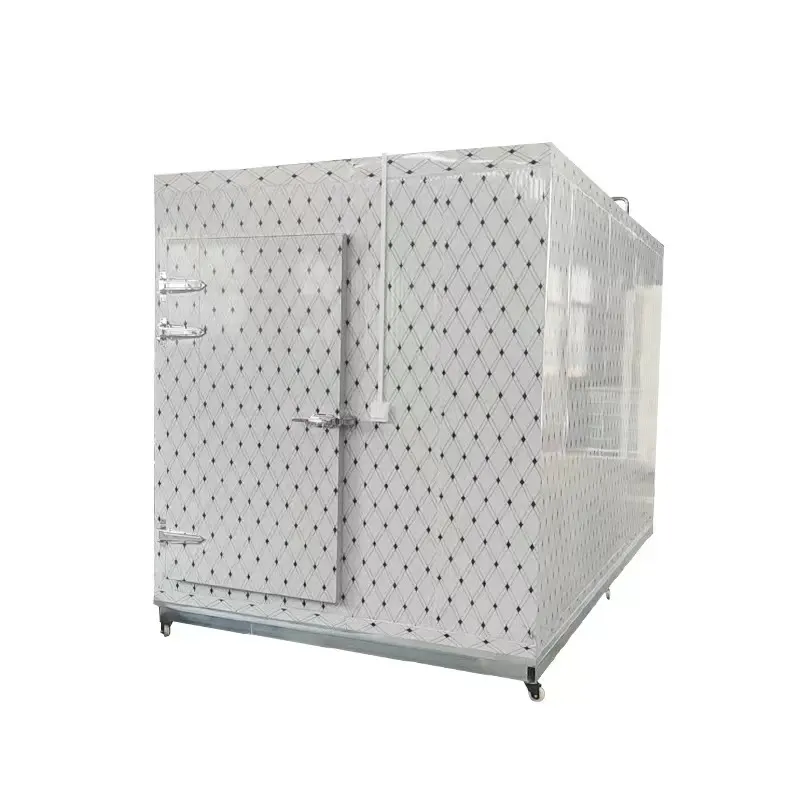 Kleiner Kühlraum begehbarer Container Kühlraum Hoch kühlschrank Raum Kühler Lagerraum Für Fleisch Meeres früchte