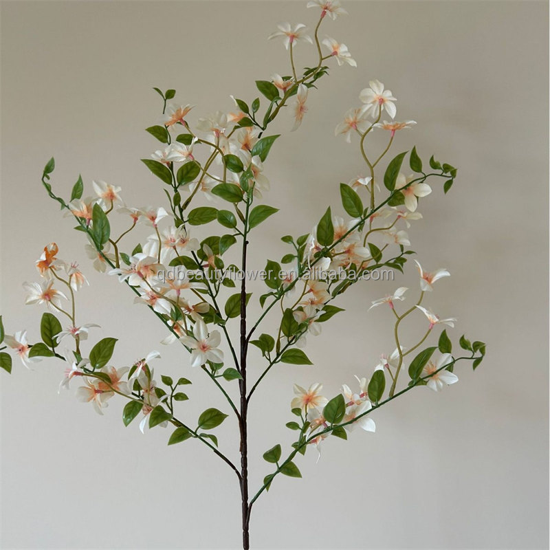 White Orange